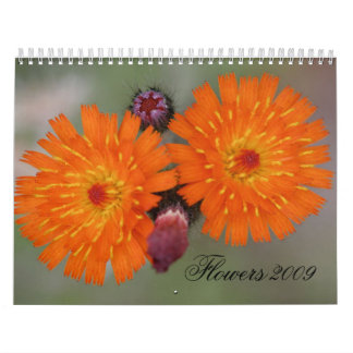 Blommor 2009 kalender