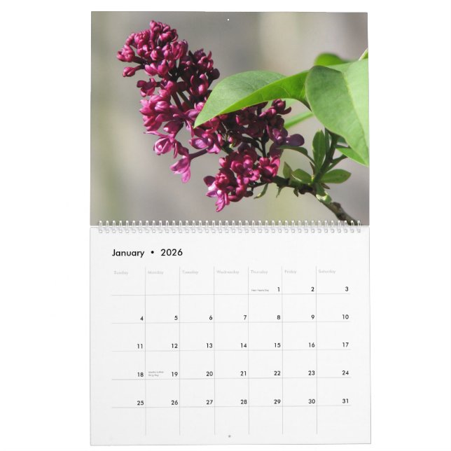 Blommor 2010 kalender (Jan 2026)