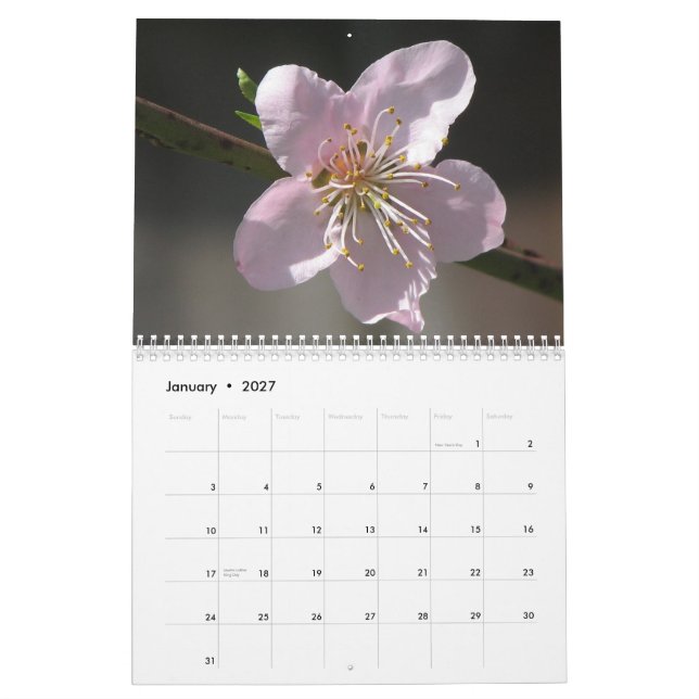 Blommor 2011 kalender (Jan 2027)