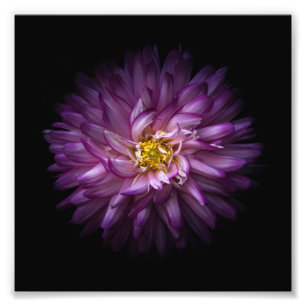 Blommor 20 fototryck