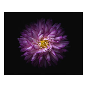 Blommor 20 fototryck