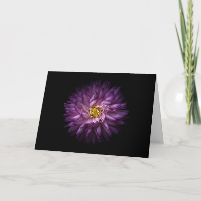 Blommor 20 kort (Framsida)