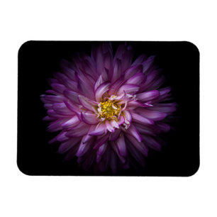 Blommor 20 magnet