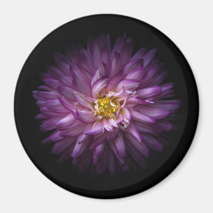 Blommor 20 magnet