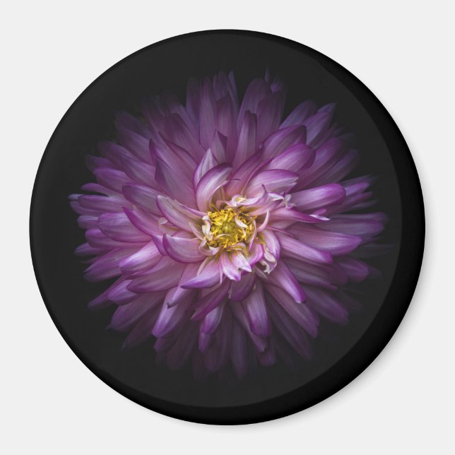 Blommor 20 magnet (Framsidan)