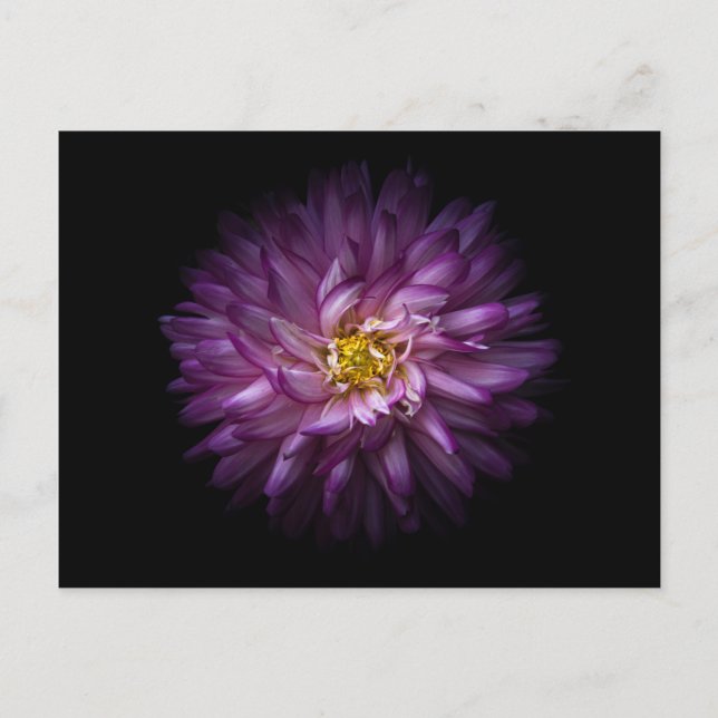 Blommor 20 vykort (Framsida)