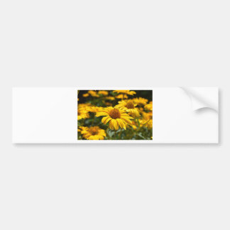 blommor-2824808 bildekal