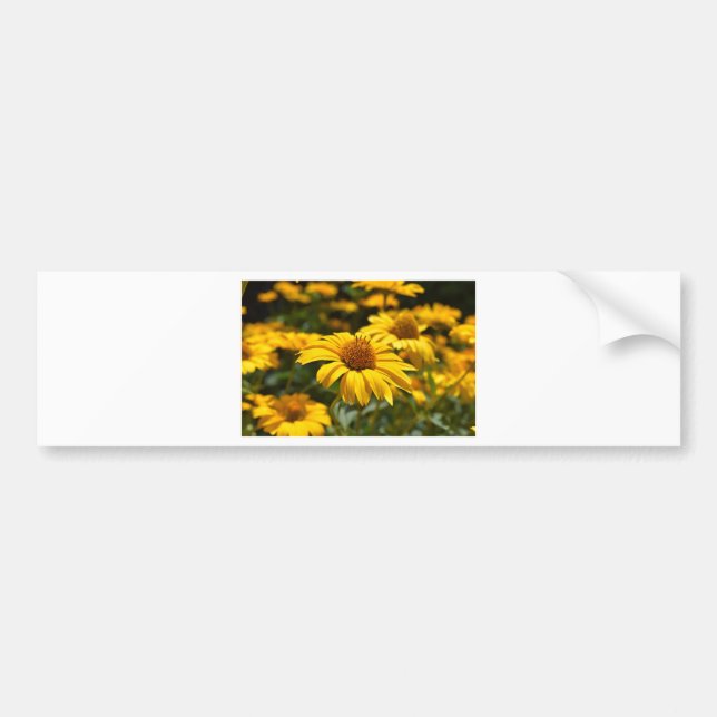 blommor-2824808 bildekal (Framsidan)