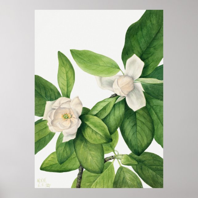 Blommor 3 poster (Framsidan)