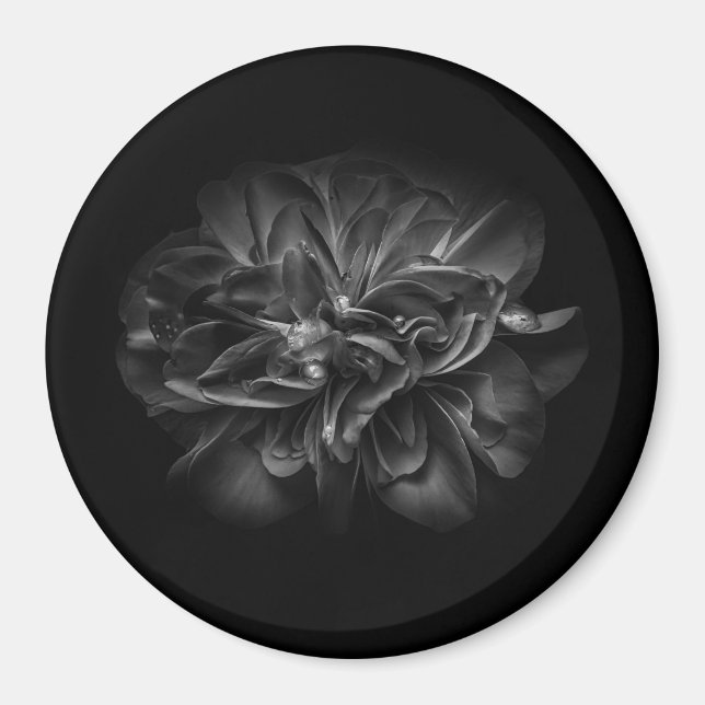 Blommor 67 BW Magnet (Framsidan)