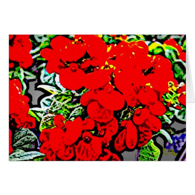 Blommor 6 hälsningskort (Framsidan Horizontal)