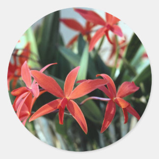 Blommor 99 runt klistermärke