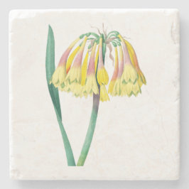 Blommor: A003 Antique Plant - Stenunderlägg