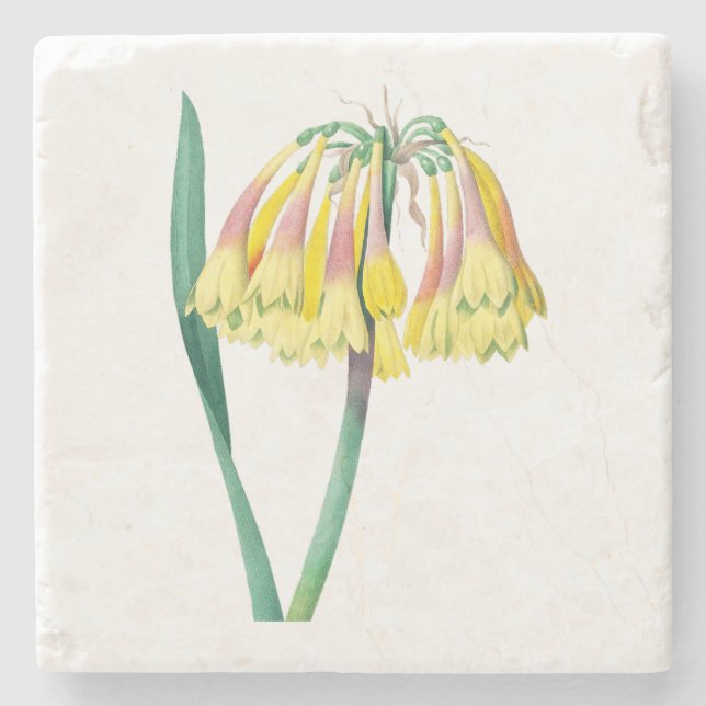 Blommor: A003 Antique Plant - Stenunderlägg (Framsidan)