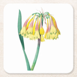 Blommor: A003 Antique Plant - Underlägg Papper Kvadrat