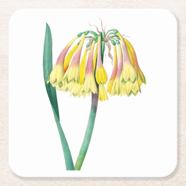 Blommor: A003 Antique Plant - Underlägg Papper Kvadrat (Framsidan)