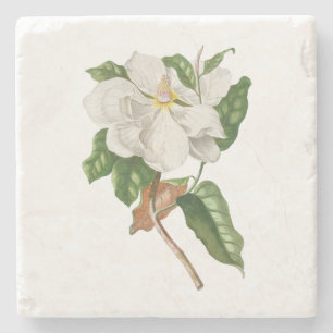 Blommor: A004 Magnolia - Stenunderlägg