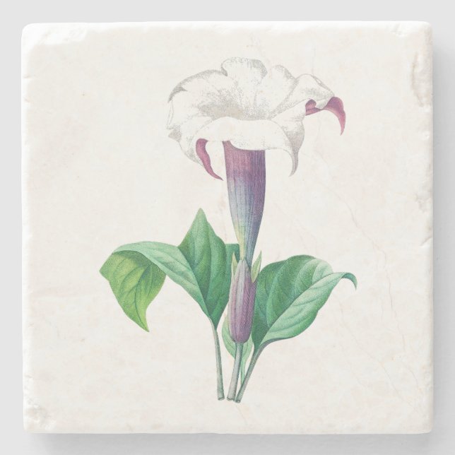 Blommor: A006 Thorn Apple - Stenunderlägg (Framsidan)