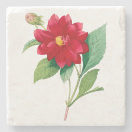 Blommor: A010 Dhalia Doble - Stenunderlägg