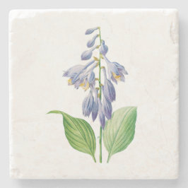 Blommor: A012 Daylily - Stenunderlägg