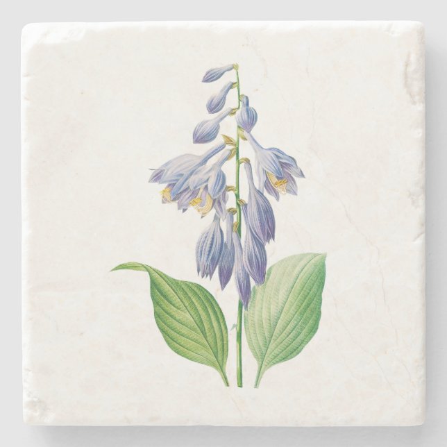 Blommor: A012 Daylily - Stenunderlägg (Framsidan)