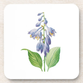 Blommor: A012 Daylily - Underlägg