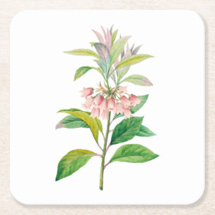 Blommor: A013 Redvein Enkianthus - Underlägg Papper Kvadrat