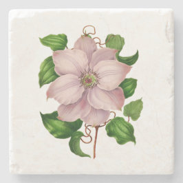 Blommor: A016 Glematis - Stenunderlägg