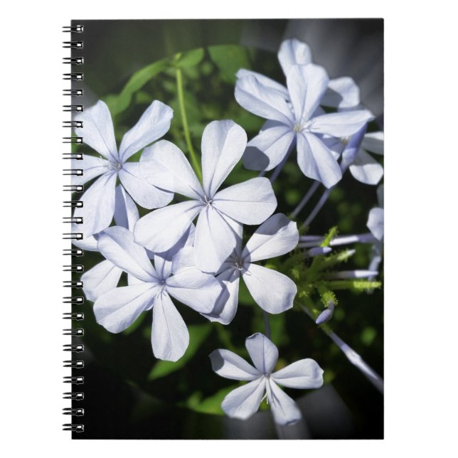 Blommor Anteckningsbok (Framsidan)