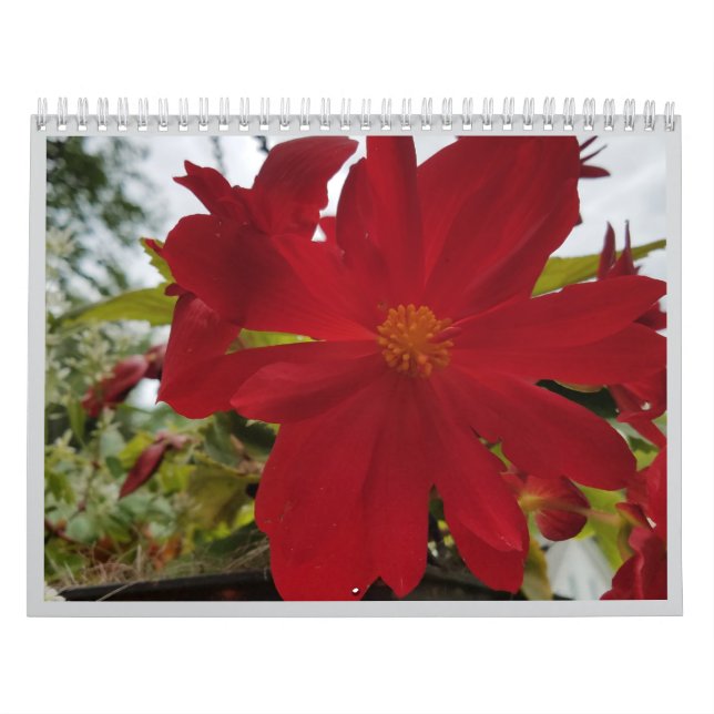 Blommor Är Det 2026 Kalender (Omslag)