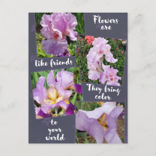 Blommor är som "Friends Postcard" Vykort