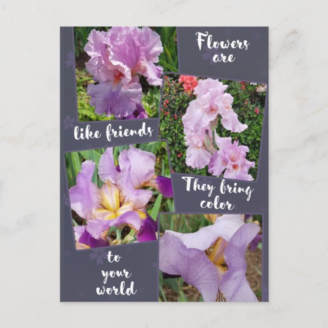 Blommor är som "Friends Postcard" Vykort (Framsida)