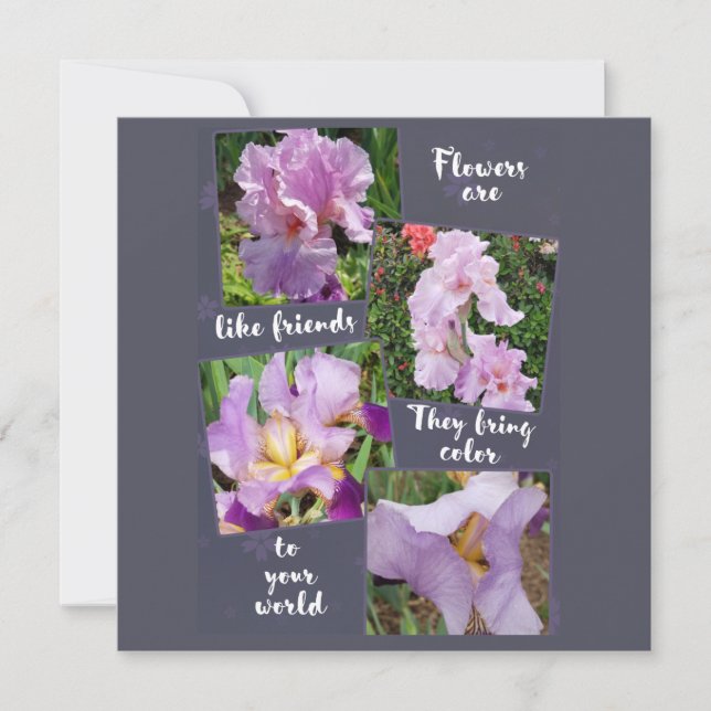 Blommor är som vänner (Framsida)