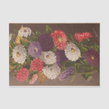 Blommor Asters av Ellen Robbins