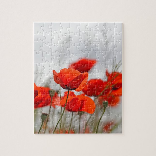 Blommor av allmänningvallmon i ett fält pussel (Vertikal)