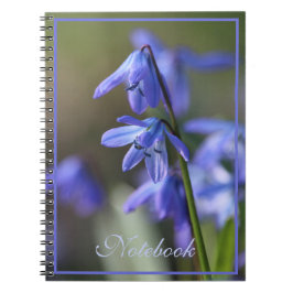 Blommor av blå Scilla siberica (Wood Squill) Anteckningsbok