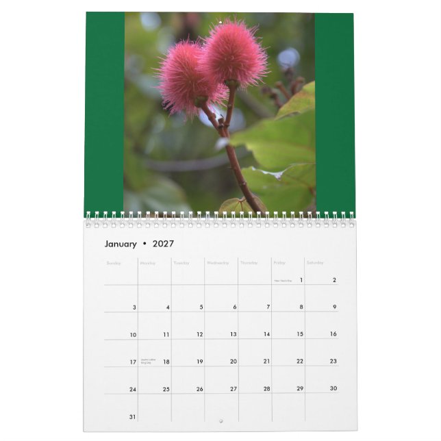Blommor av den Hawaii 2010 kalendern Kalender (Jan 2027)