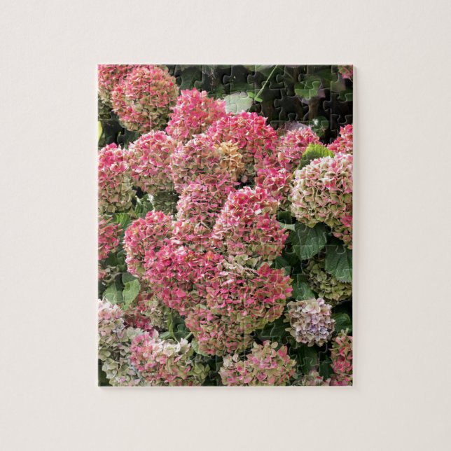 Blommor av en franskvanlig hortensia (vanlig pussel (Vertikal)