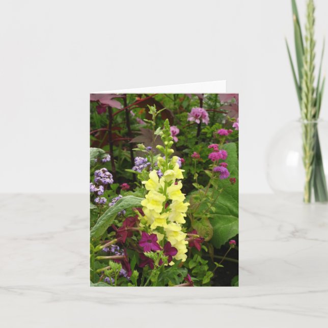 Blommor av frankriken kort (Framsida)