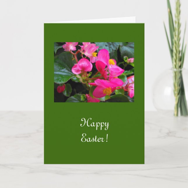 Blommor av glad påsk rosa begonia helgkort (Framsida)
