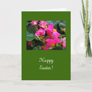 Blommor av glad påsk rosa begonia helgkort