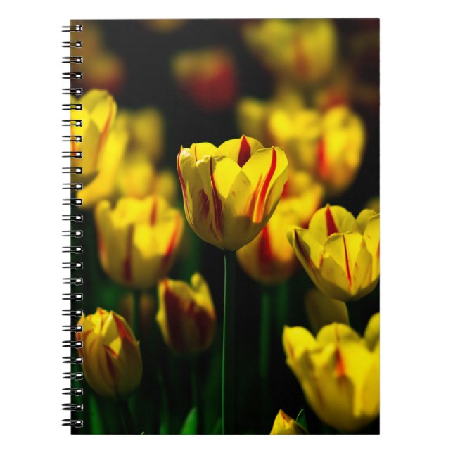 Blommor av gult anteckningsbok med spiral (Framsidan)
