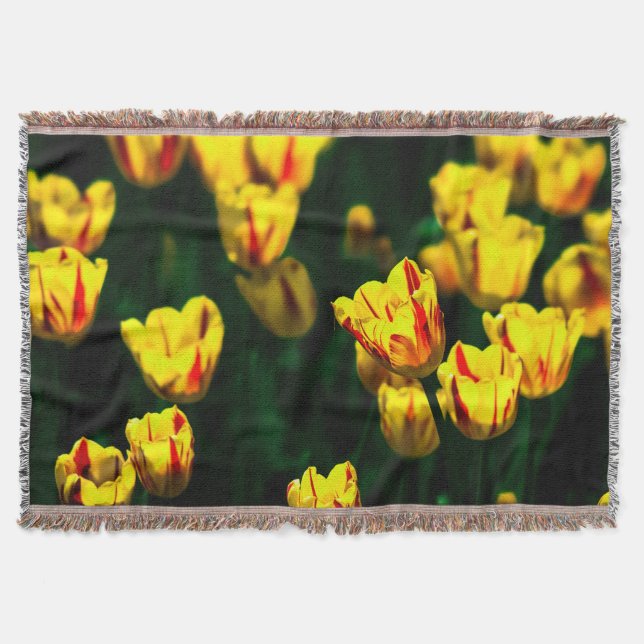 Blommor av gult filt (Framsidan)