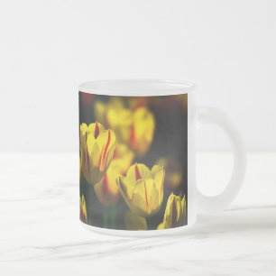 Blommor av gult frostad glasmugg