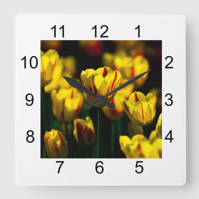 Blommor av gult fyrkantig klocka (Framsida)