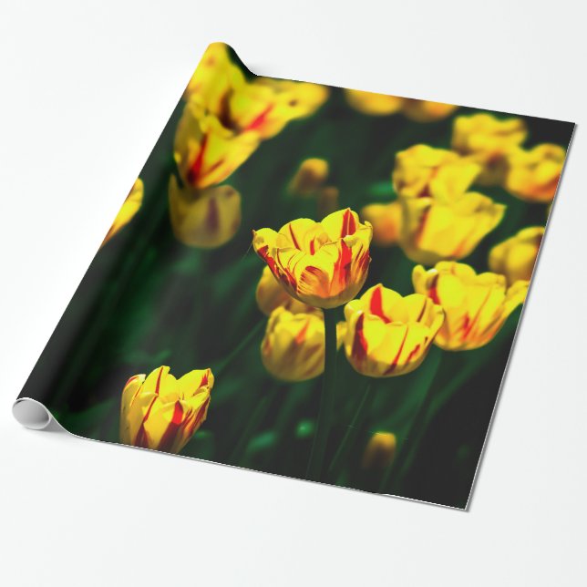 Blommor av gult presentpapper (Utrullad)
