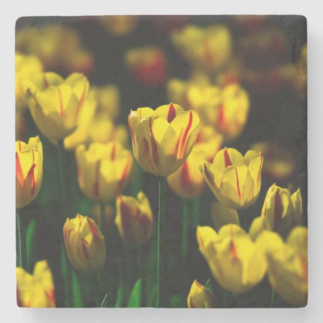 Blommor av gult underlägg sten (Framsidan)