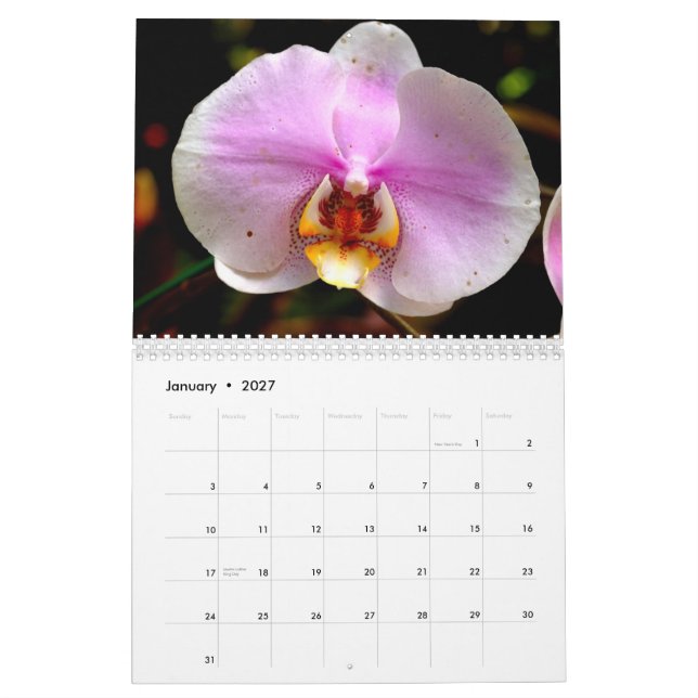 Blommor av Hawaii Kalender (Jan 2027)