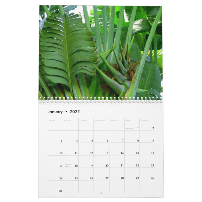 Blommor av Hawaii Kalender (Jan 2027)