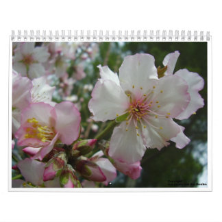 Blommor av Israel Kalender
